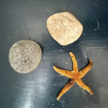 Maria - Key To * ايزولا روسا